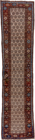 Vintage Kurd Runner Rug (3' x 16')