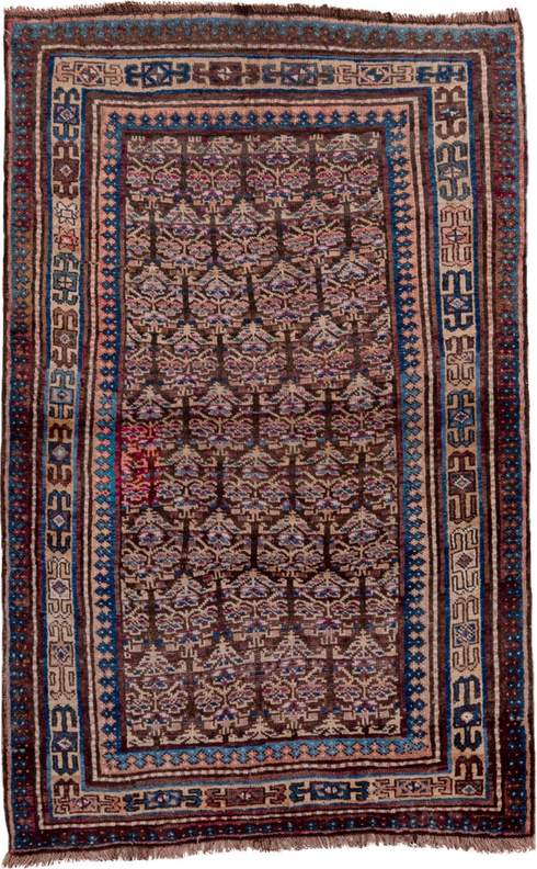 Antique Kurd Area Rug (3' x 6')