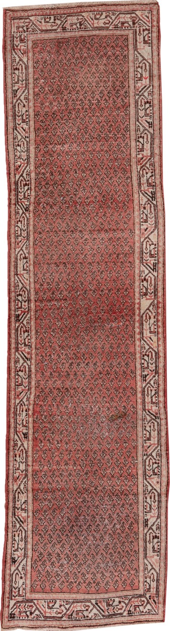 Vintage Mahal Runner Rug (2' x 10')