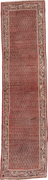 Vintage Mahal Runner Rug (2' x 10')