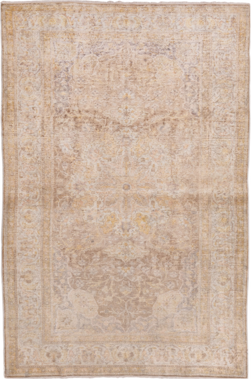 Vintage Kaisary Area Rug (3' x 5')