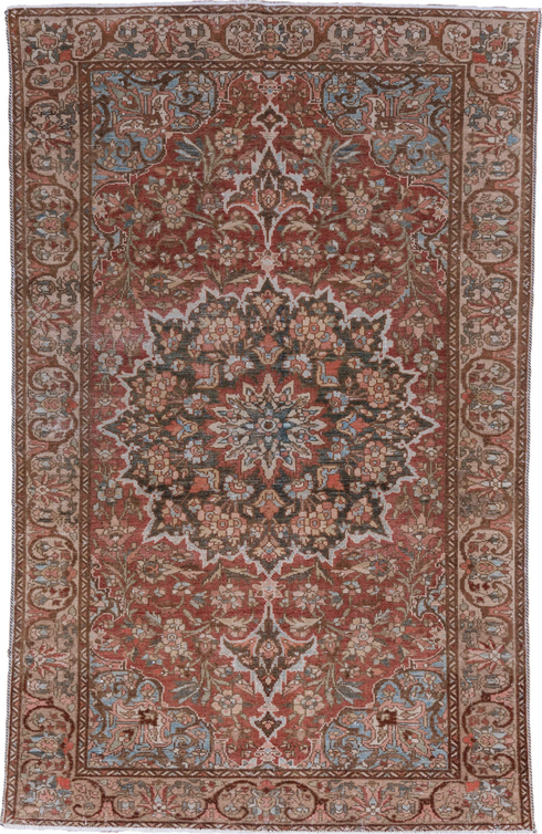 Vintage Baktiary Area Rug (4' x 6')