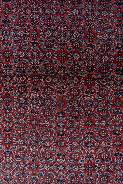 Vintage Bidjar Runner Rug (2' x 6')