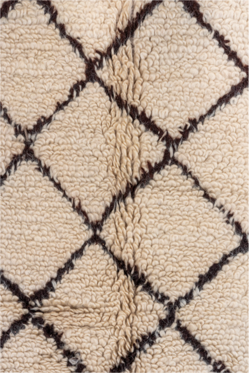 Vintage Moroccan Area Rug (7' x 13')