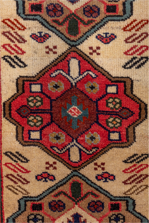Vintage Veece Runner Rug (2' x 10')