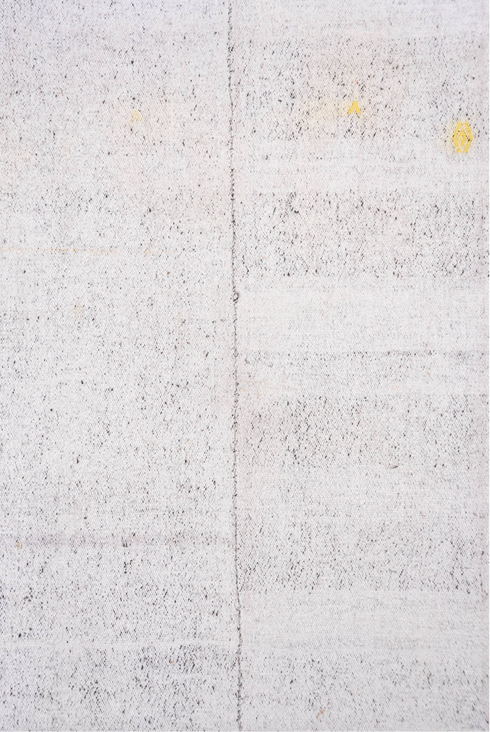 Vintage Flatweave Area Rug (7' x 10')