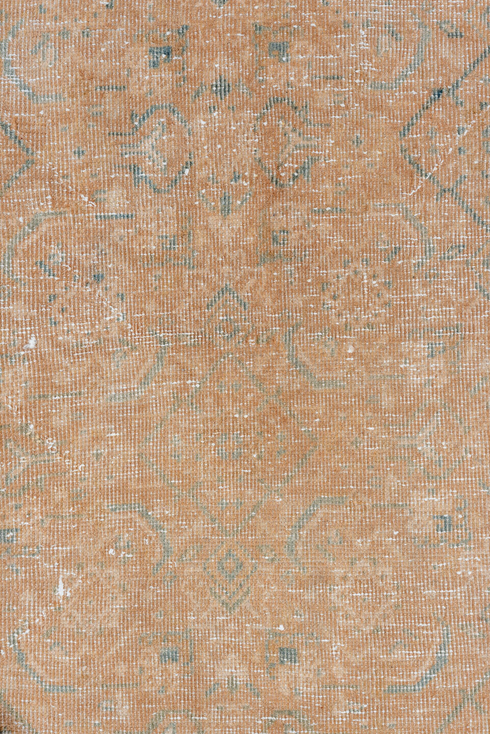 Vintage Mahal Area Rug (8' x 12')