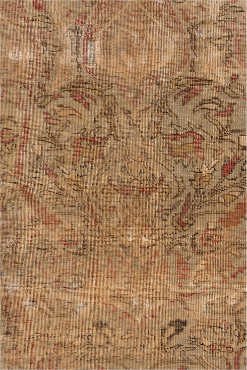 Vintage Kaisary Area Rug (3' x 5')