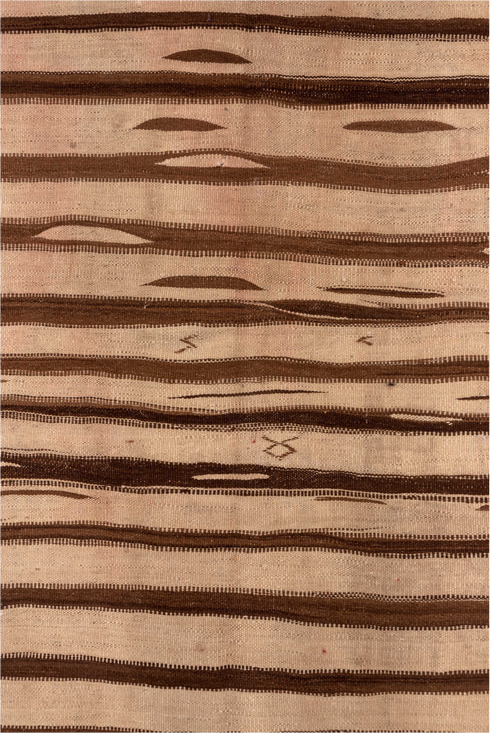 Vintage Kilim Runner Rug (4' x 9')