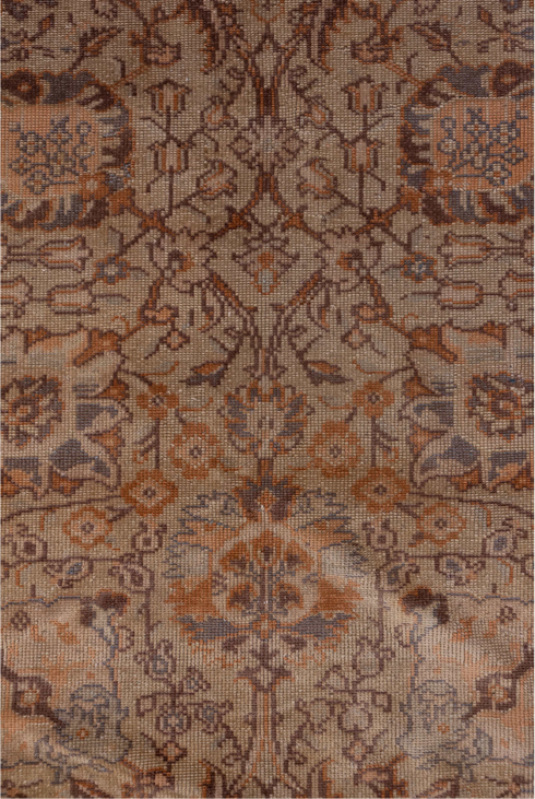 Antique Sivas Area Rug (6' x 9')