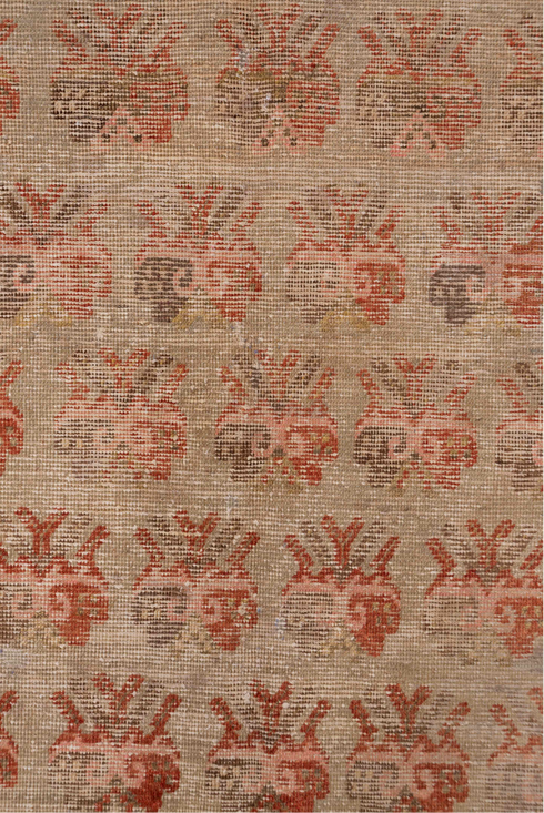 Antique Khotan Area Rug (4' x 7')