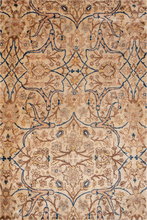 Antique Tabriz Area Rug (6' x 9')