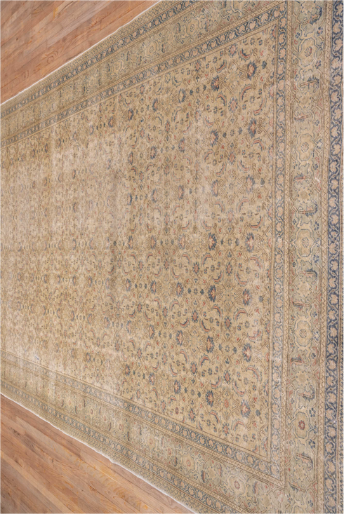 Vintage Kaisary Area Rug (7' x 12')