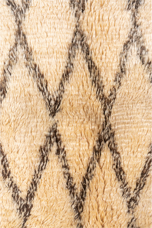 Vintage Moroccan Area Rug (6' x 12')