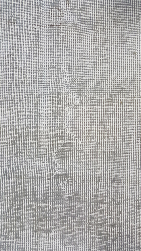 Vintage Overdyed Area Rug (6' x 9')