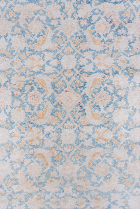 Vintage Agra Area Rug (4' x 6')