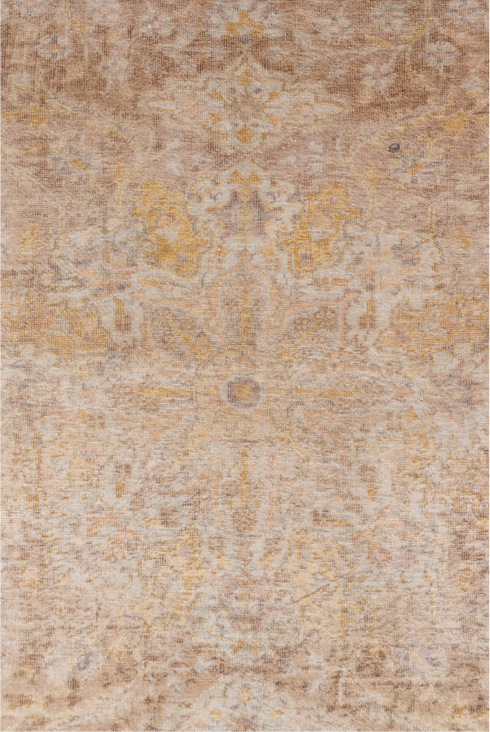 Vintage Kaisary Area Rug (3' x 5')