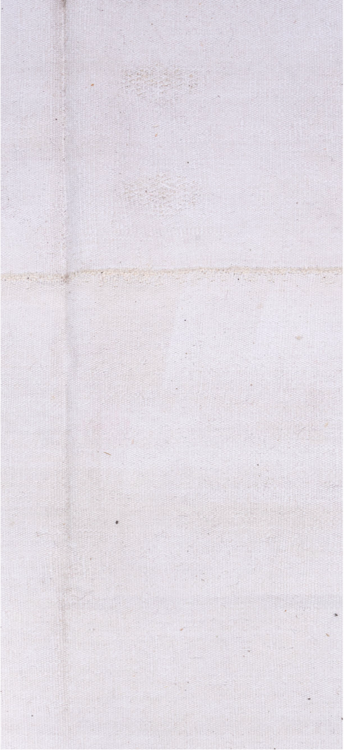 Vintage Flatweave Area Rug (9' x 13')