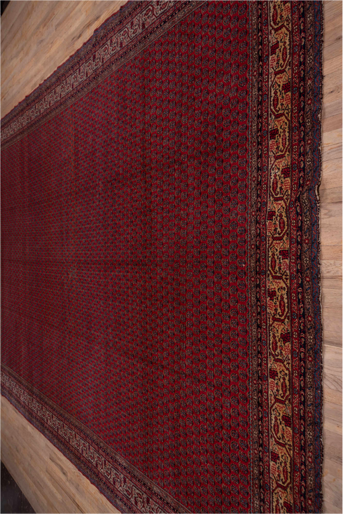 Antique Saraband Area Rug (12' x 16')