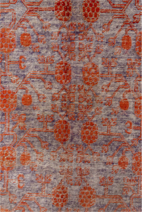 Antique Khotan Area Rug (6' x 11')