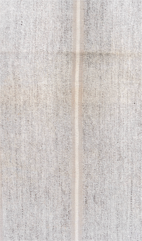 Antique Flatweave Runner Rug (2' x 7')