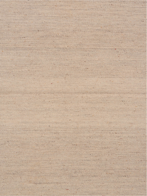 Vintage Flatweave Area Rug (3' x 4')