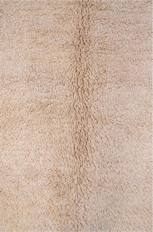 Vintage Moroccan Area Rug (6' x 12')