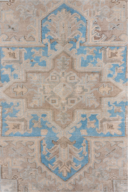 Antique Heriz Area Rug (6' x 9')