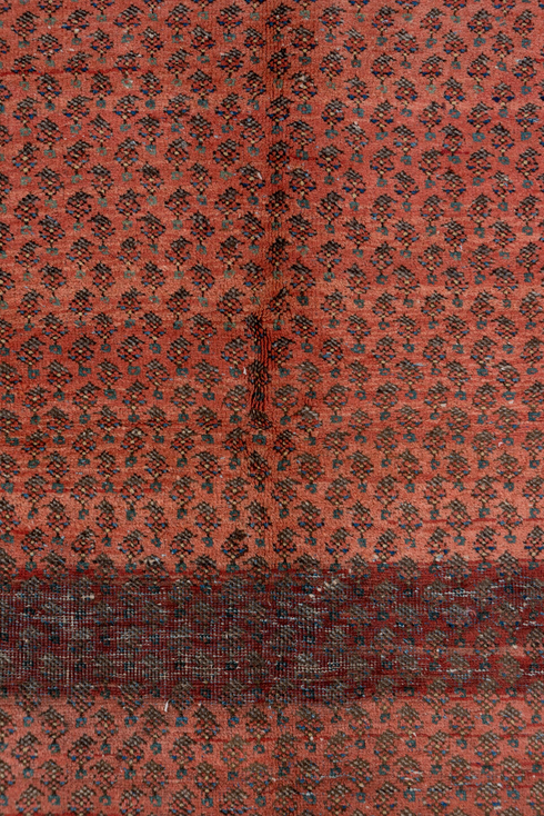 Antique Mahal Area Rug (4' x 6')