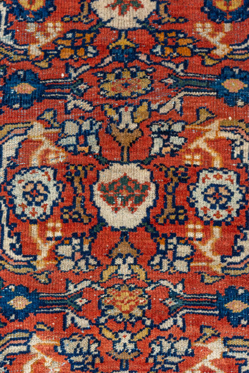 Antique Mahal Area Rug (6' x 10')