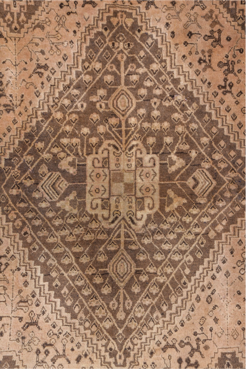 Antique Shiraz Area Rug (6' x 9')