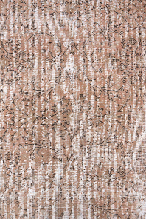 Vintage Kaisary Area Rug (7' x 10')