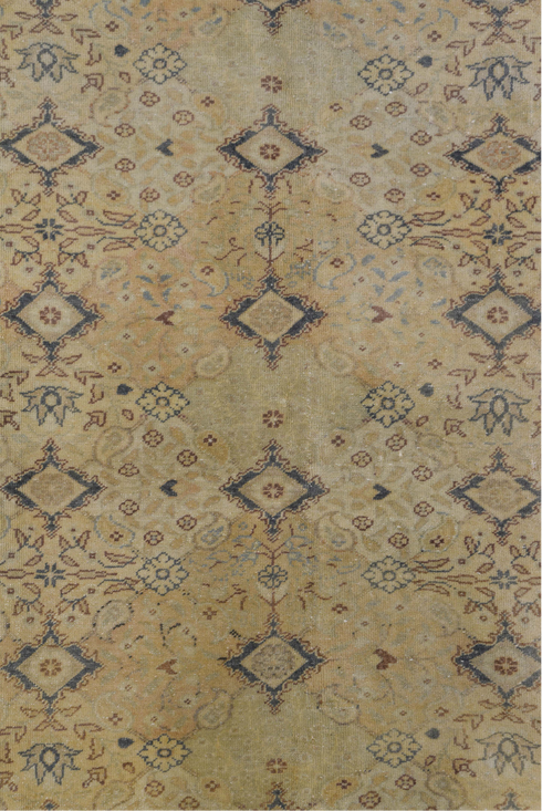 Vintage Kaisary Area Rug (6' x 9')