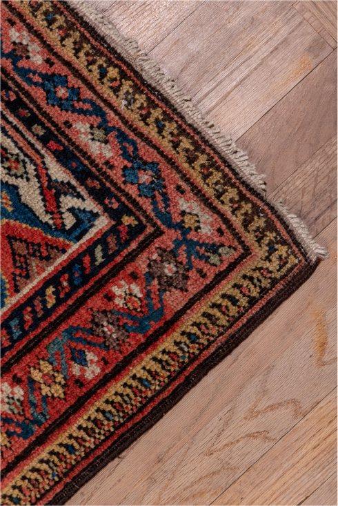 Antique Mahal Area Rug (7' x 17')