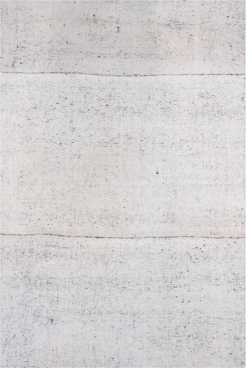 Antique Flatweave Area Rug (8' x 11')