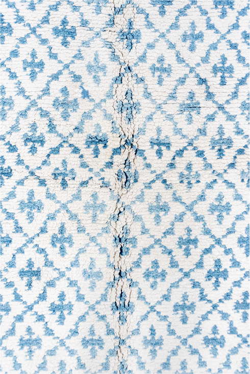 Vintage Cotton Agra Area Rug (5' x 9')