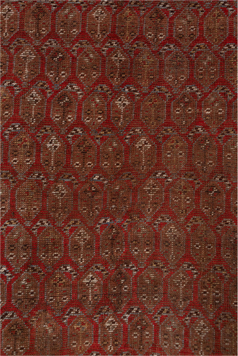 Vintage Shiraz Runner Rug (5' x 11')