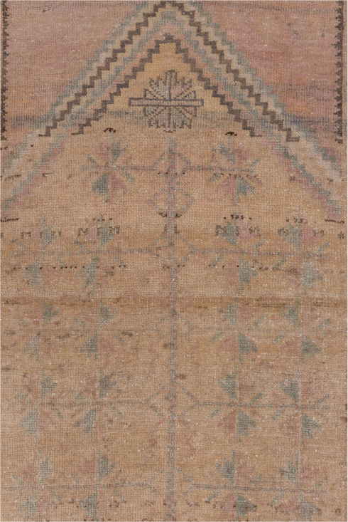 Antique Anatol Area Rug (2' x 4')