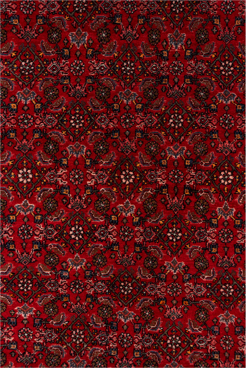 Antique Bidjar Area Rug (5' x 7')