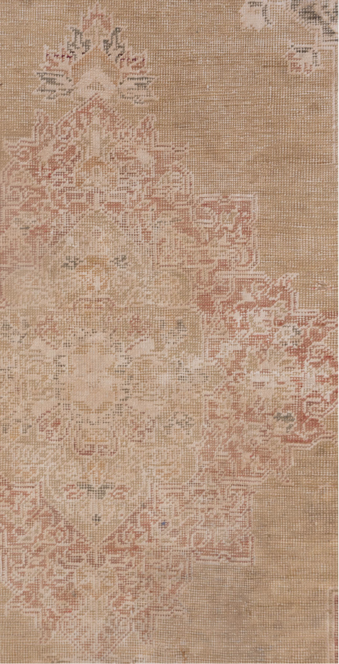 Vintage Kaisary Area Rug (4' x 5')