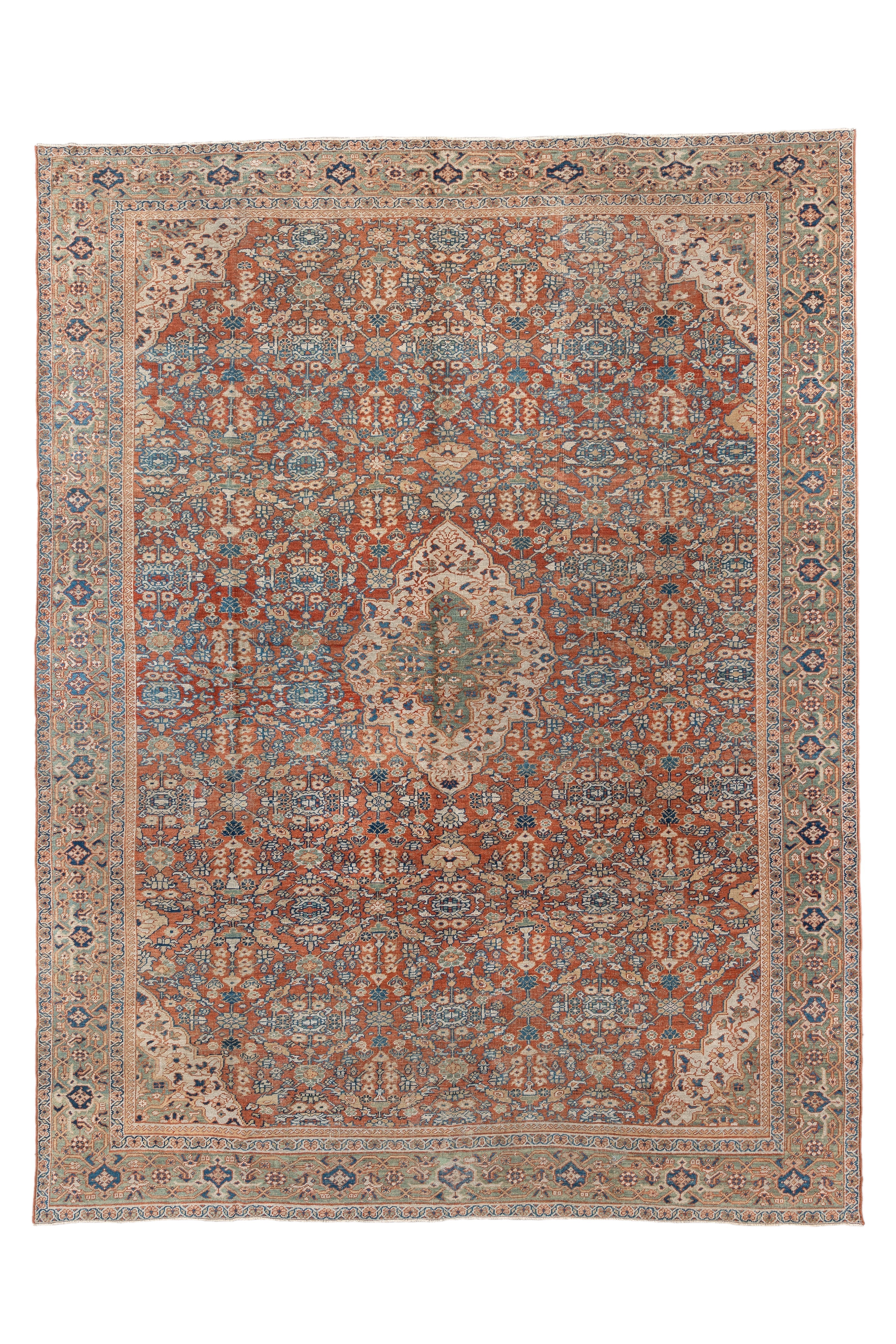 Antique Mahal Area Rug (9' x 13')