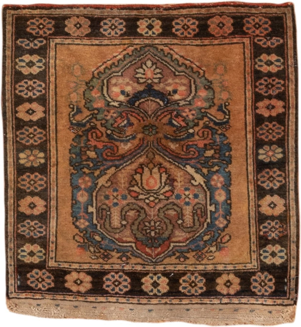 Small Sarouk Rugs