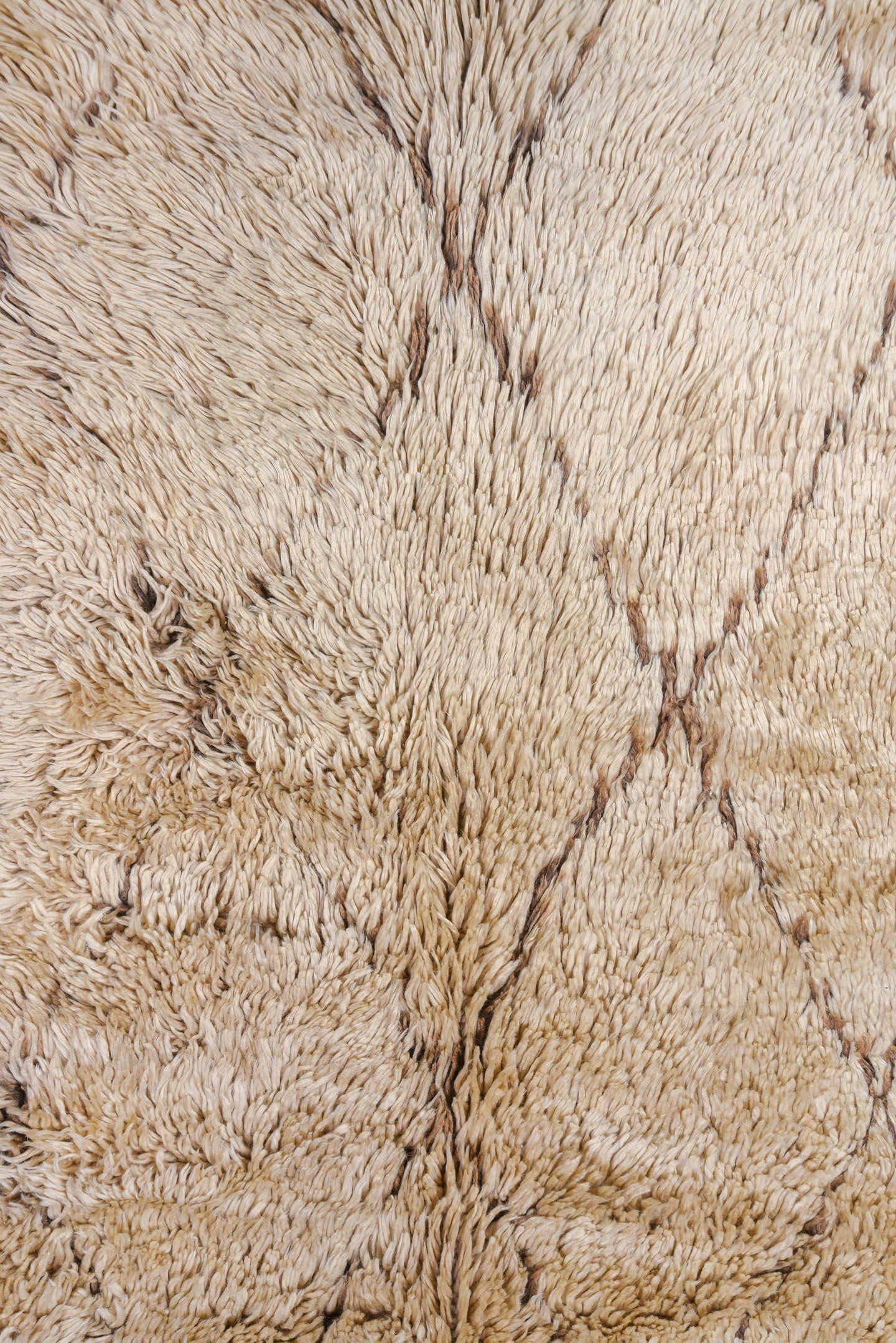 6' x 12' one-of-a-kind handmade vintage Moroccan large size rug. Color palette: ivory, camel, taupe, beige, brown, gray