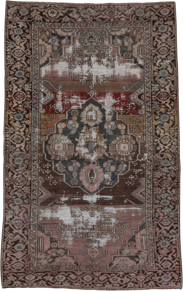 Faded Caucasian Rugs