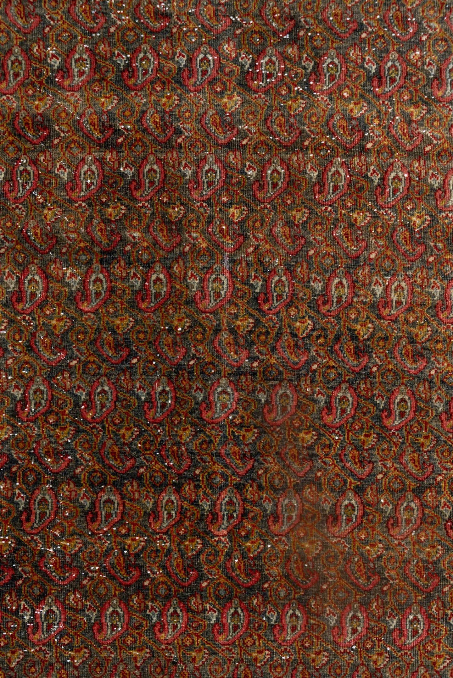 4' x 6' one-of-a-kind handmade antique Sarouk small size rug. Color palette: rust, brick, gold, ivory, navy, camel, brown