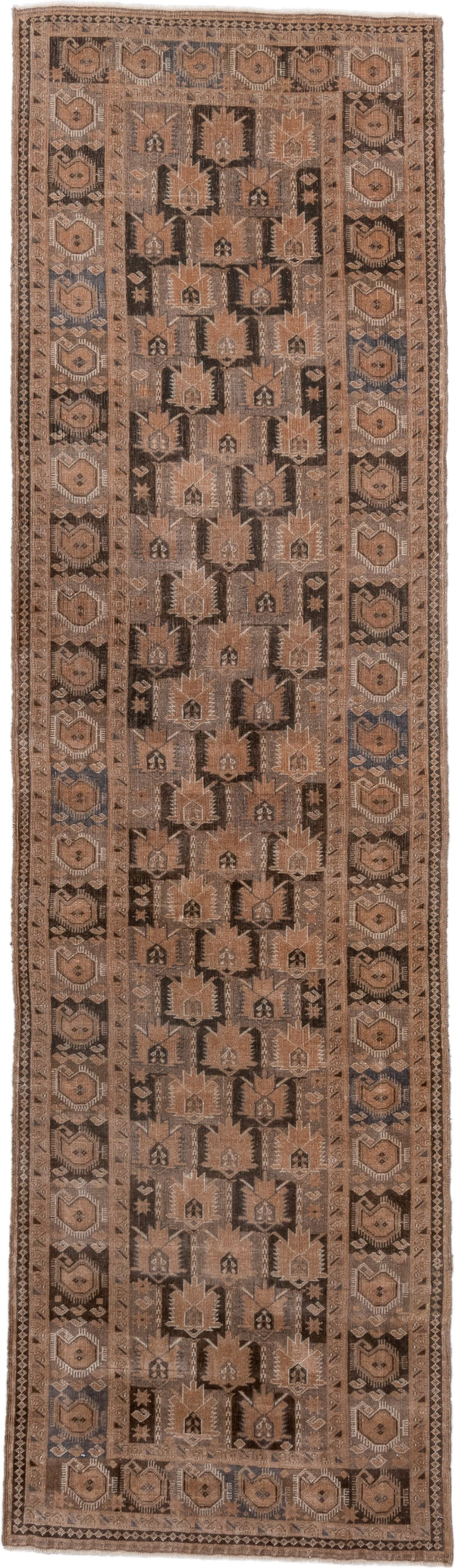 Warm Belouch Rugs