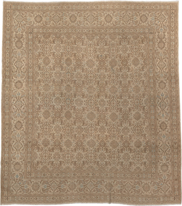 Faded Ivory Rugs