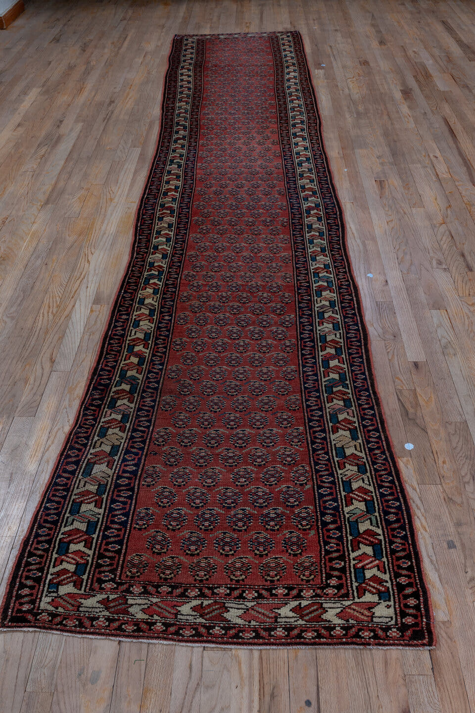 2' x 14' one-of-a-kind handmade antique Saraband runner rug. Color palette: rust, navy, ivory, camel, burgundy, charcoal
