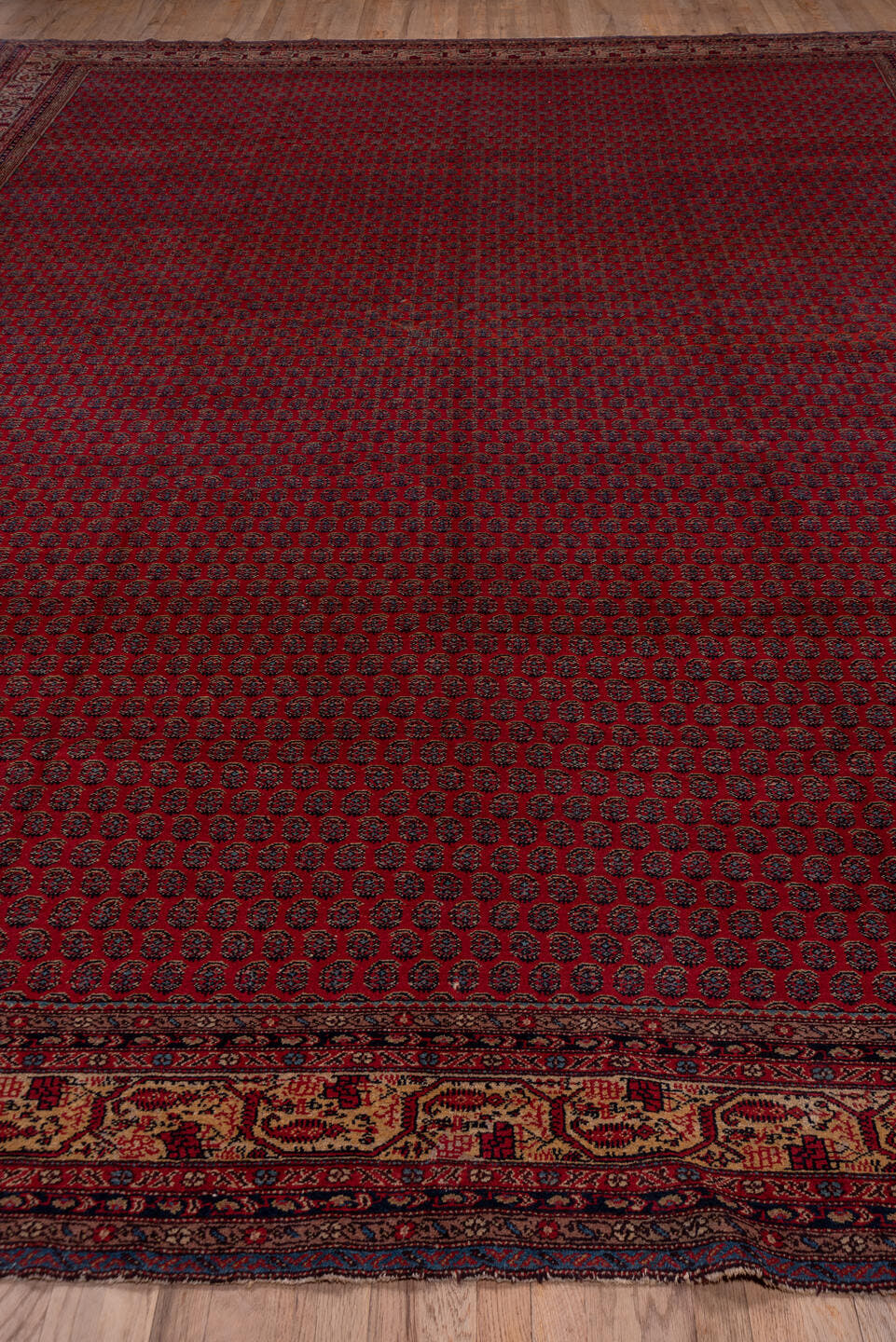 12' x 16' one-of-a-kind handmade antique Saraband oversize rug. Color palette: red, navy, ivory, burgundy, rust, camel, blue
