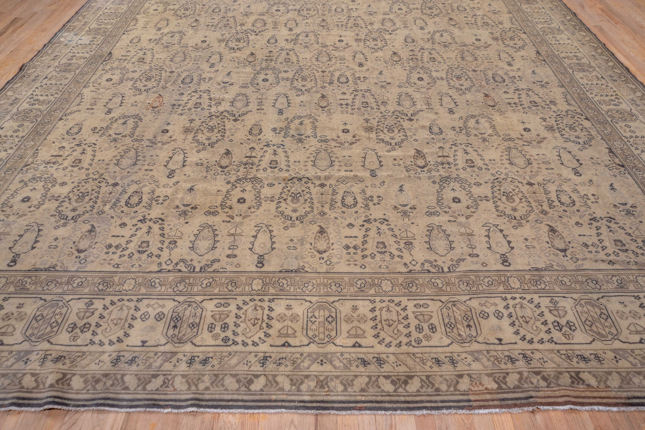 12' x 15' one-of-a-kind handmade antique Sivas oversize rug. Color palette: ivory, taupe, blue gray, camel, slate, beige